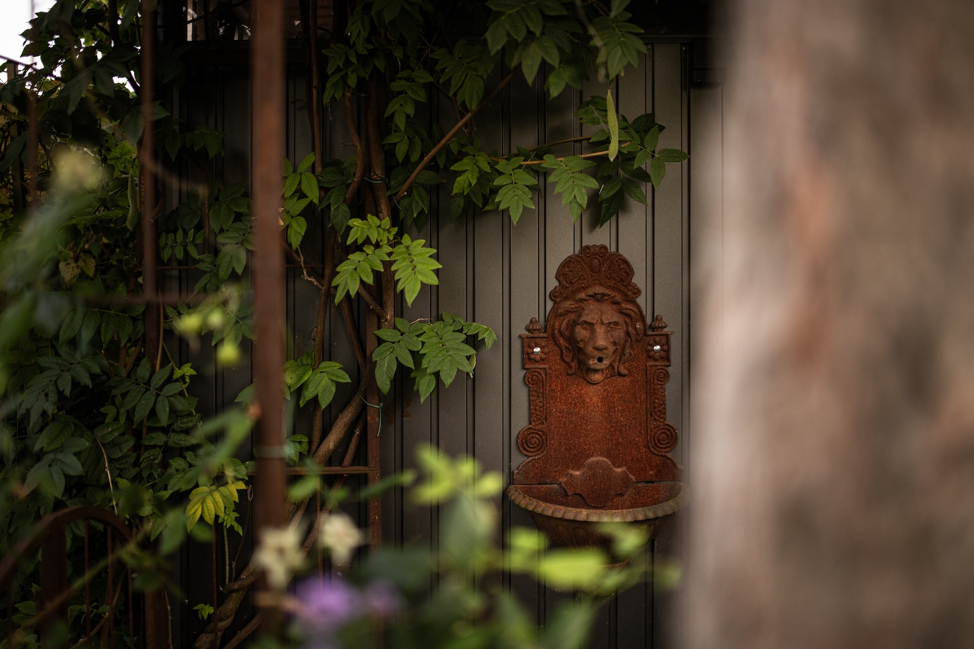 Architekturfotos vom Projekt AR in Wien für Begründer.