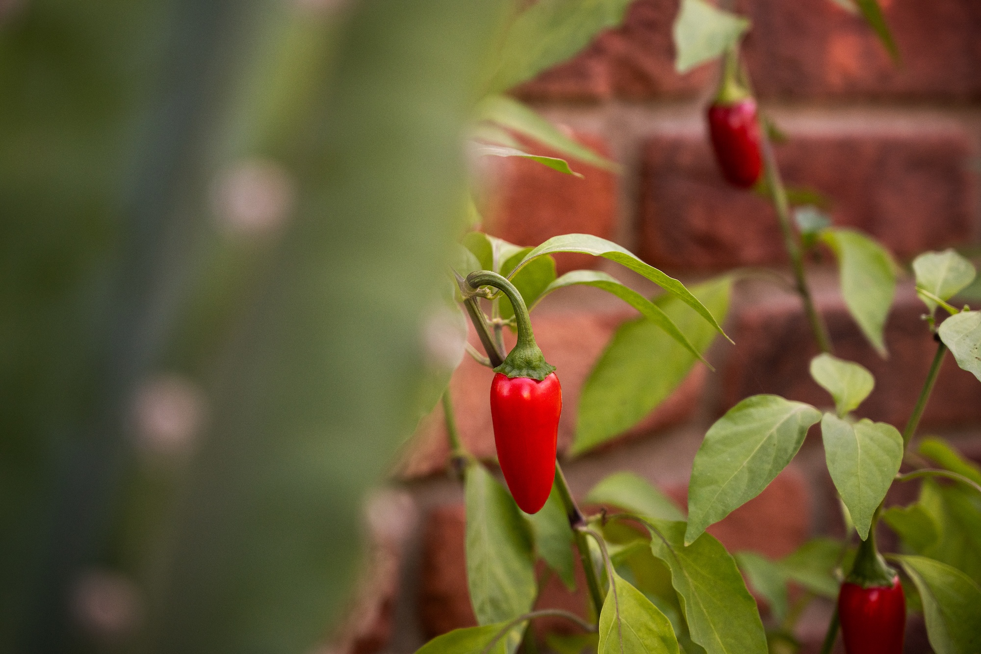 Architekturfotos vom Projekt AR in Wien für Begründer.