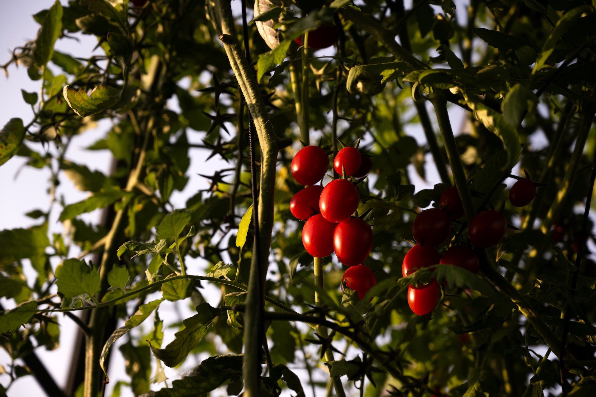 Architekturfotos vom Projekt AR in Wien für Begründer.