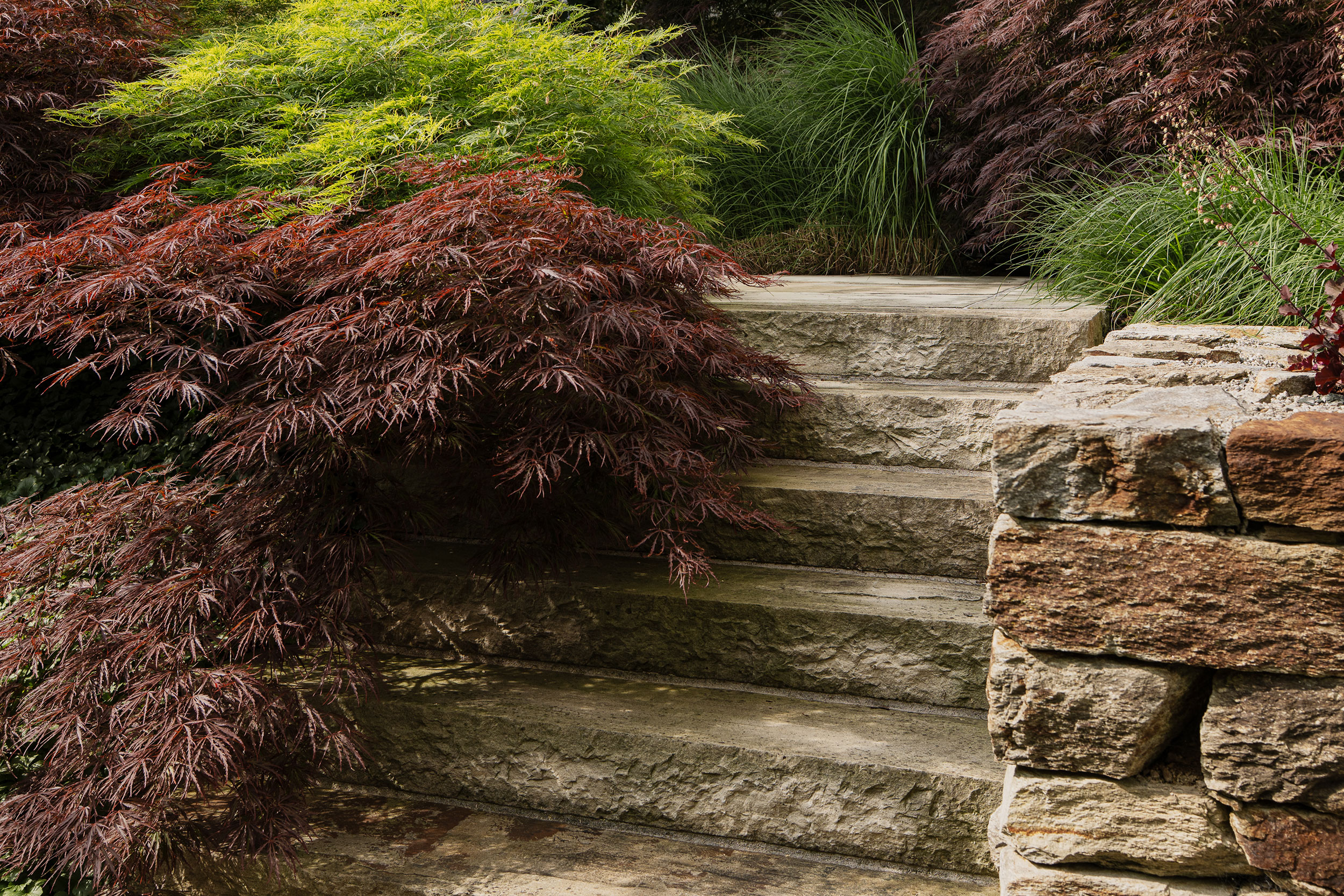 069_10_Steinstufen-m-Pflanzen