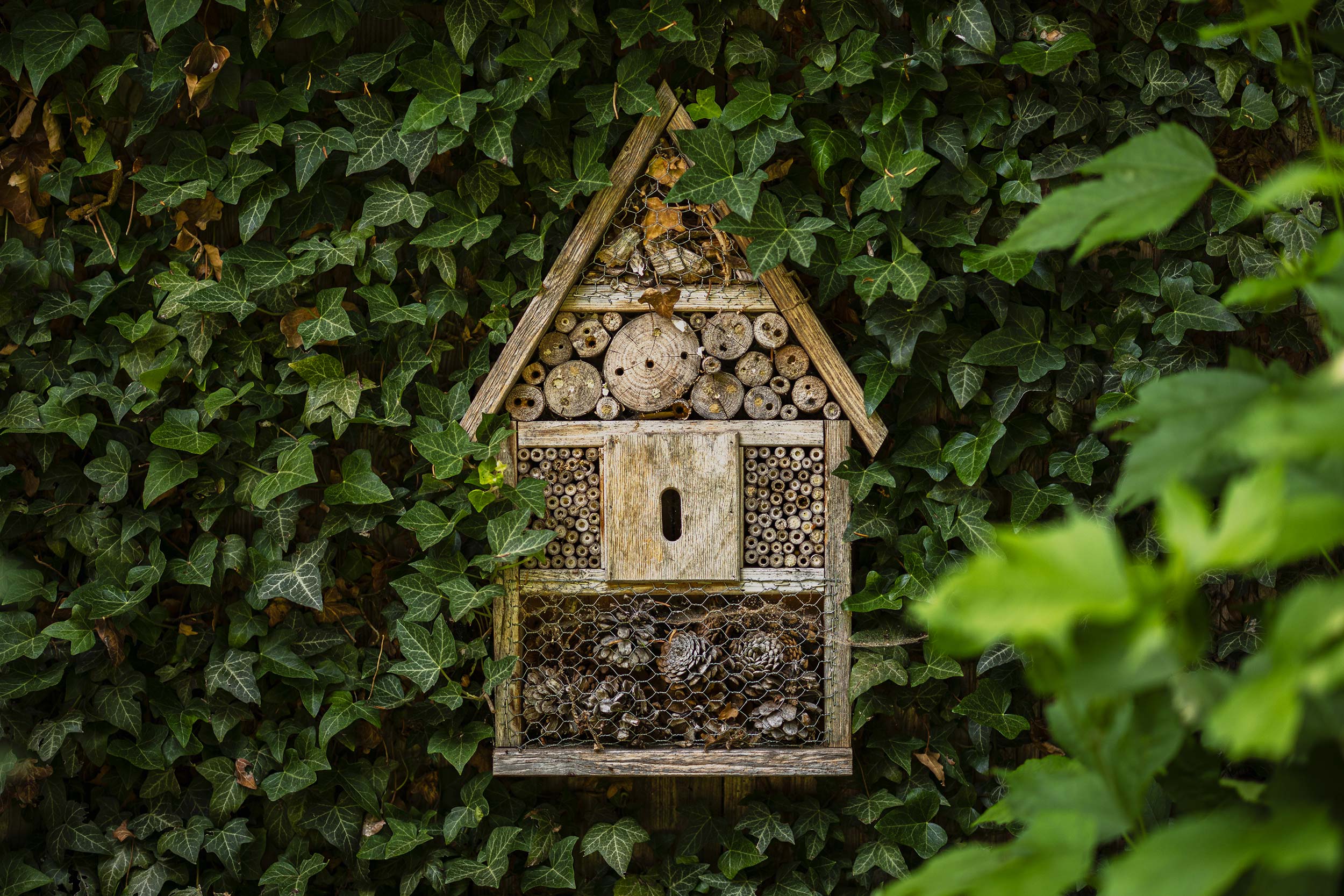 068_10_Insektenhaushaus