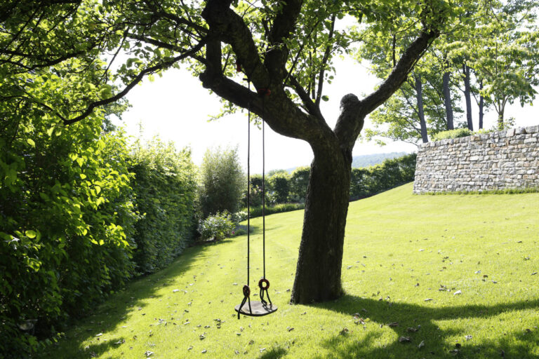 Großer Baum als natürlicher Schattenspender mit Schaukel in einem weitläufigen Garten.